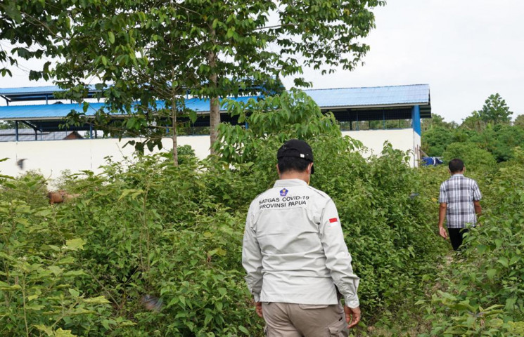 Dapat Ijin, Pabrik Petatas Terbengkalai Segera di manfaatkan Petani Keerom
